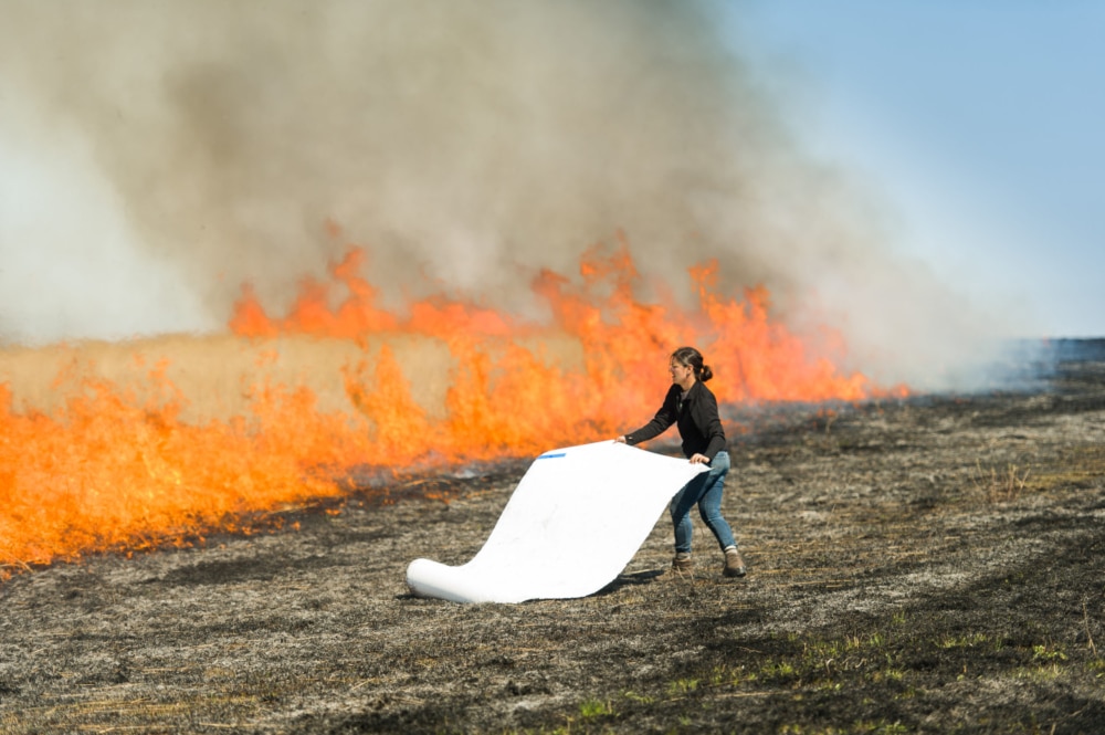 Erin Wiersma | Land Institute Prairie Festival