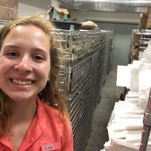 Katie Collins Land Institute Intern