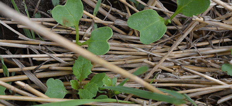 2023 Eastern Nebraska Soil Health Conference