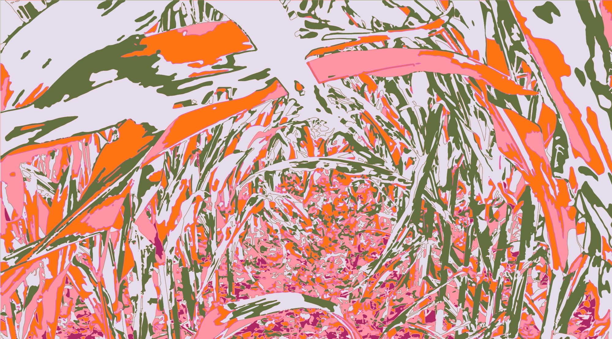 TLI-Pattern-Succession-Pink