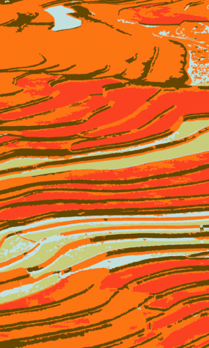 tli-pattern-mollisol-orange
