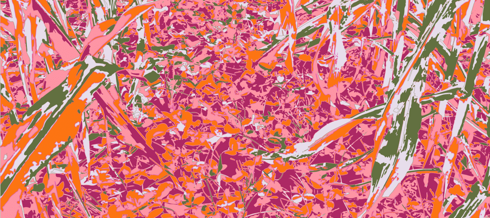 tli-pattern-successionpink-large
