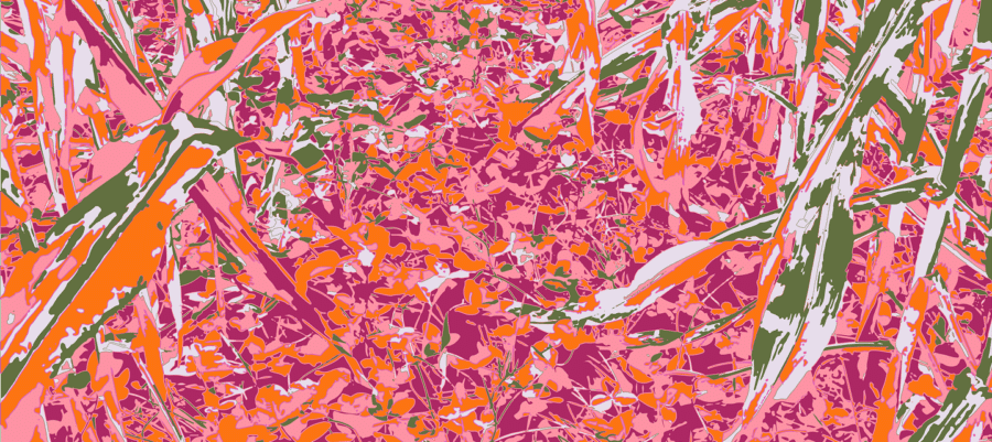 tli-pattern-successionpink-large
