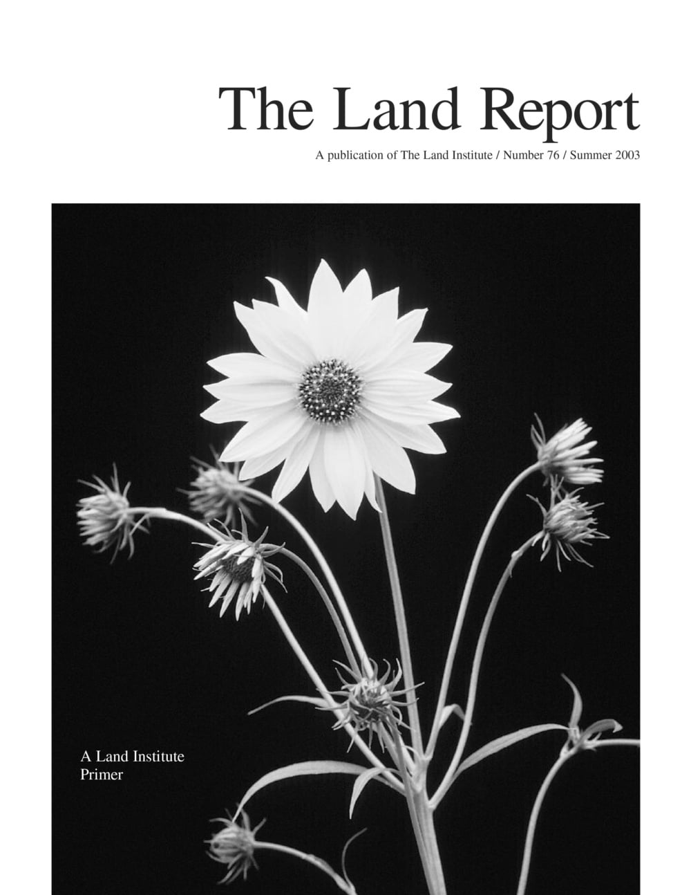 Land Report Summer 2003
