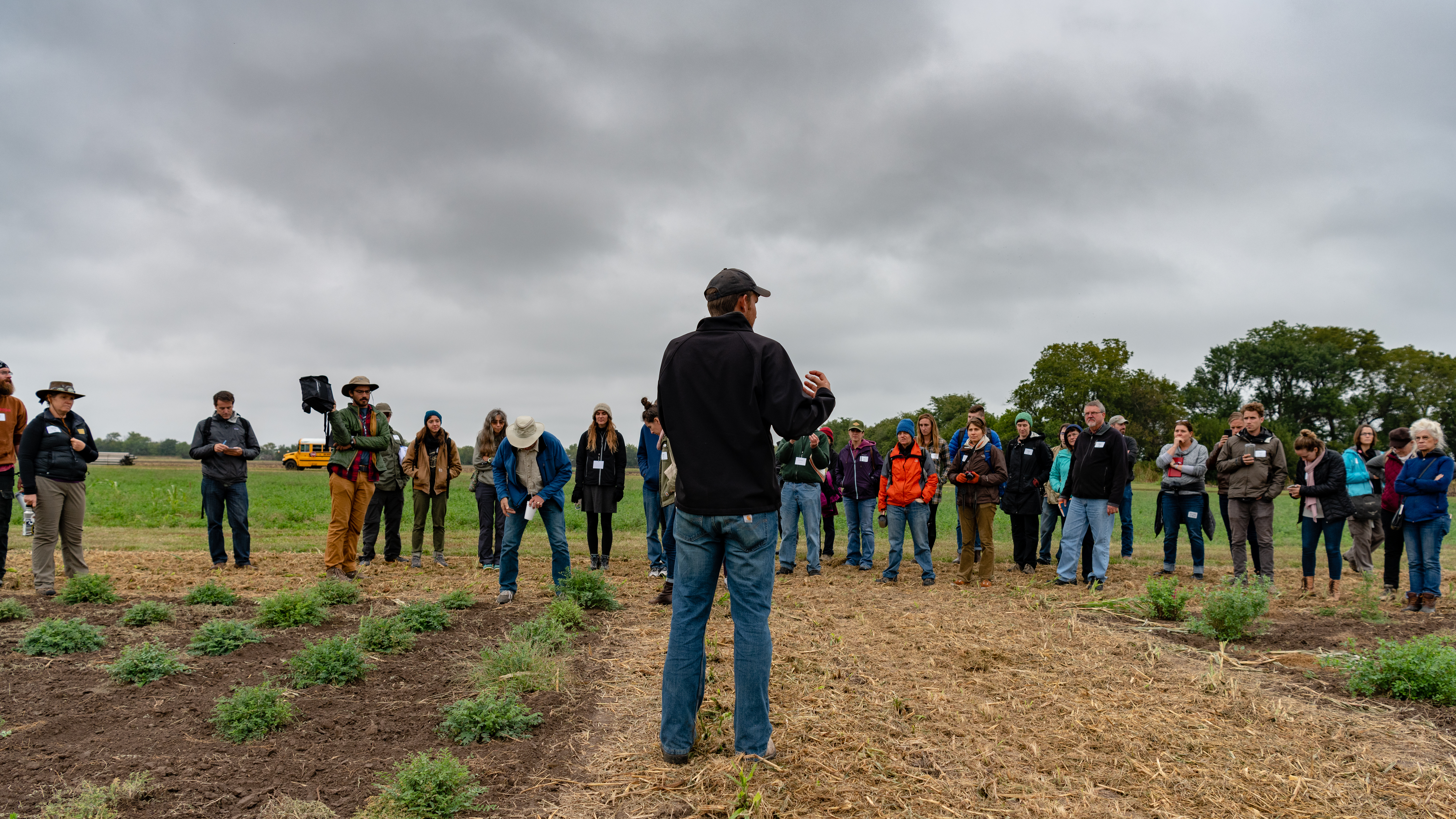 Brandon Schlautman, perennial legumes researcher at The Land Institute