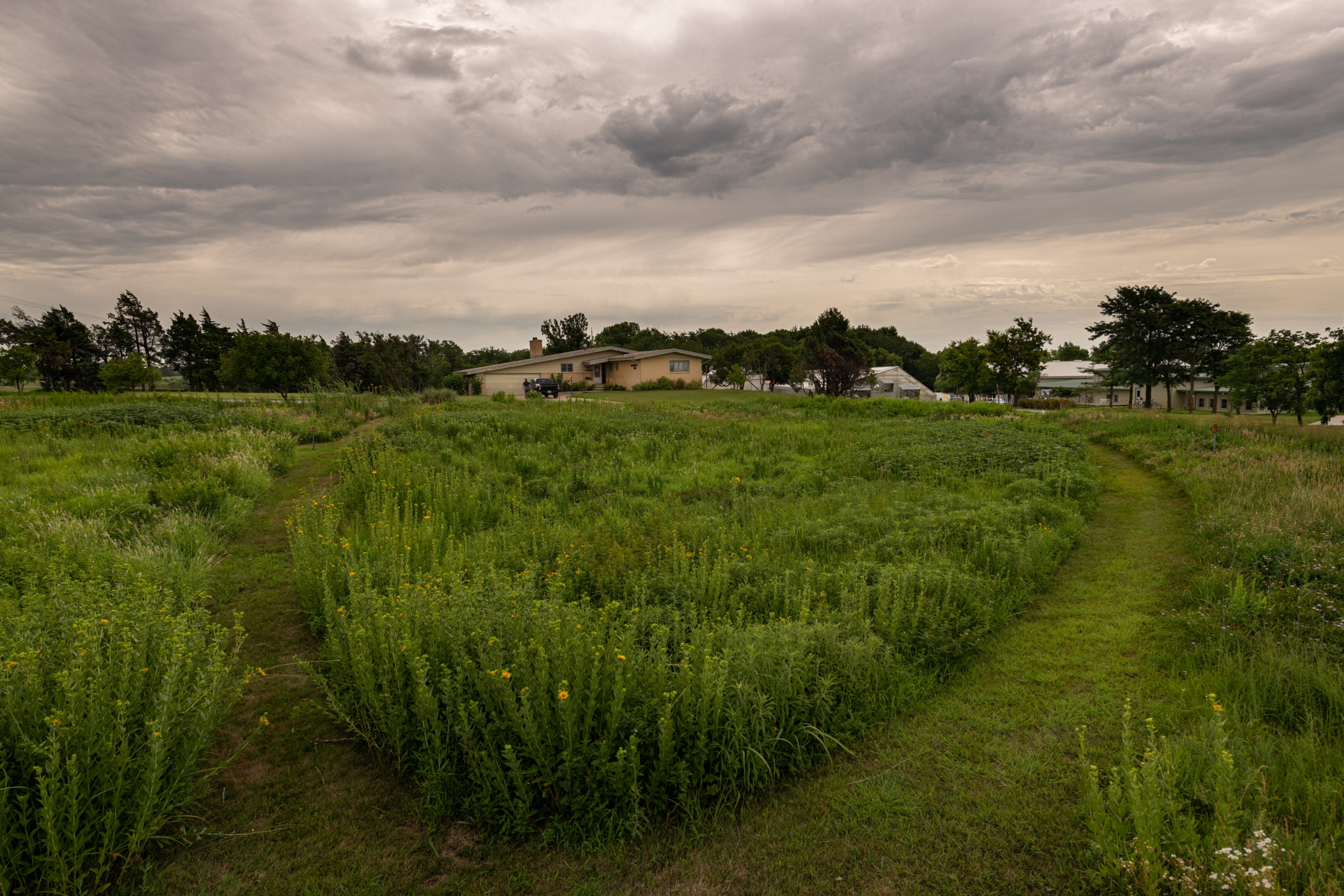 A natural prairie, with footpaths, fronts the campus of The Land Institute