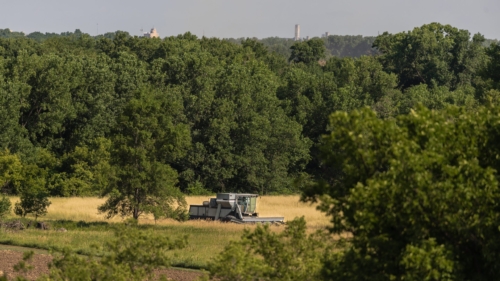 Combine, Kernza July