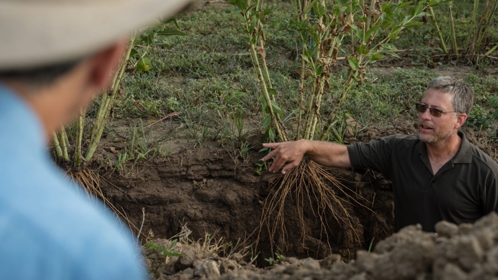 The Importance of Soil
