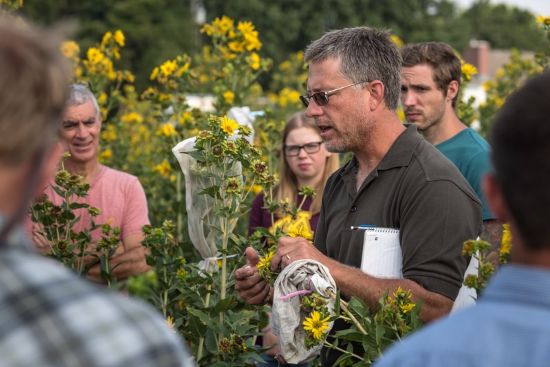 David Van Tassel, oilseeds scientist at The Land Institute