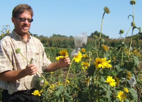 David-with-sunflowers