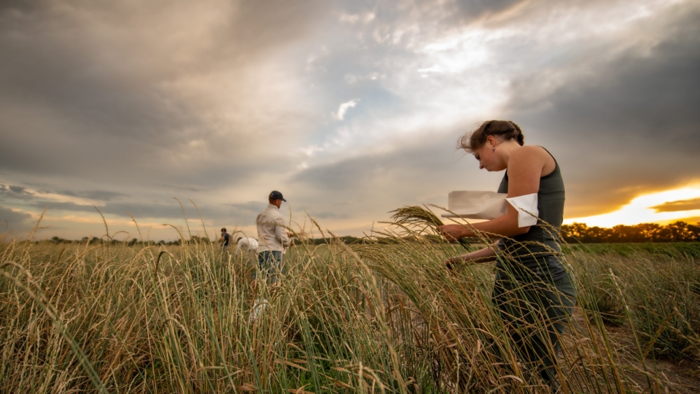 Harvest Letter 2019
