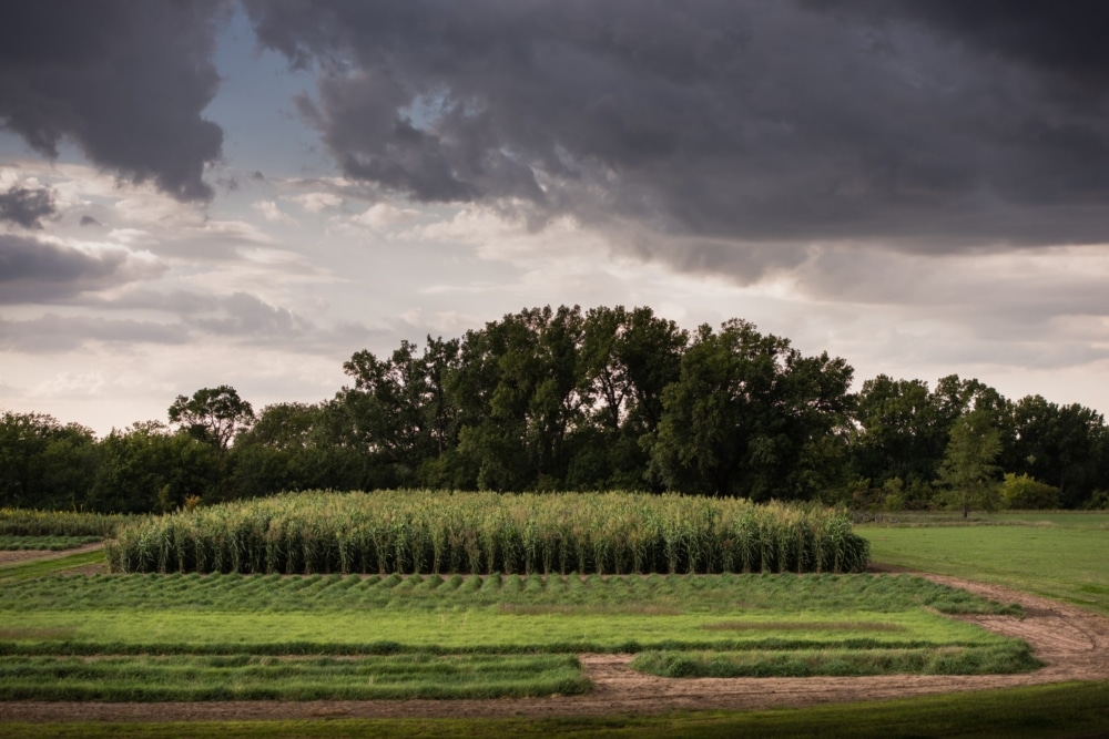 Ecosphere Studies Team and Collaborators Featured in New Open-Access Book