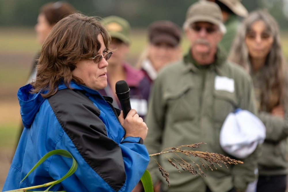 What is Crop Protection Ecology