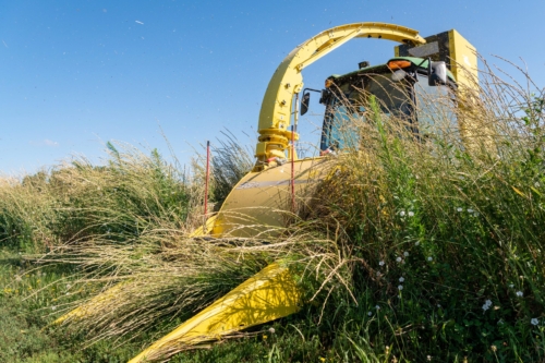 Forage Harvester