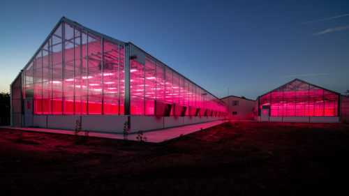 At twilight, artificial light glows at the Land Institute's new South Greenhouse, completed in 2018.