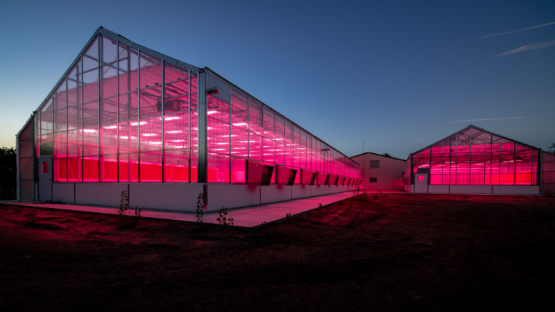 At twilight, artificial light glows at the Land Institute's new South Greenhouse, completed in 2018.