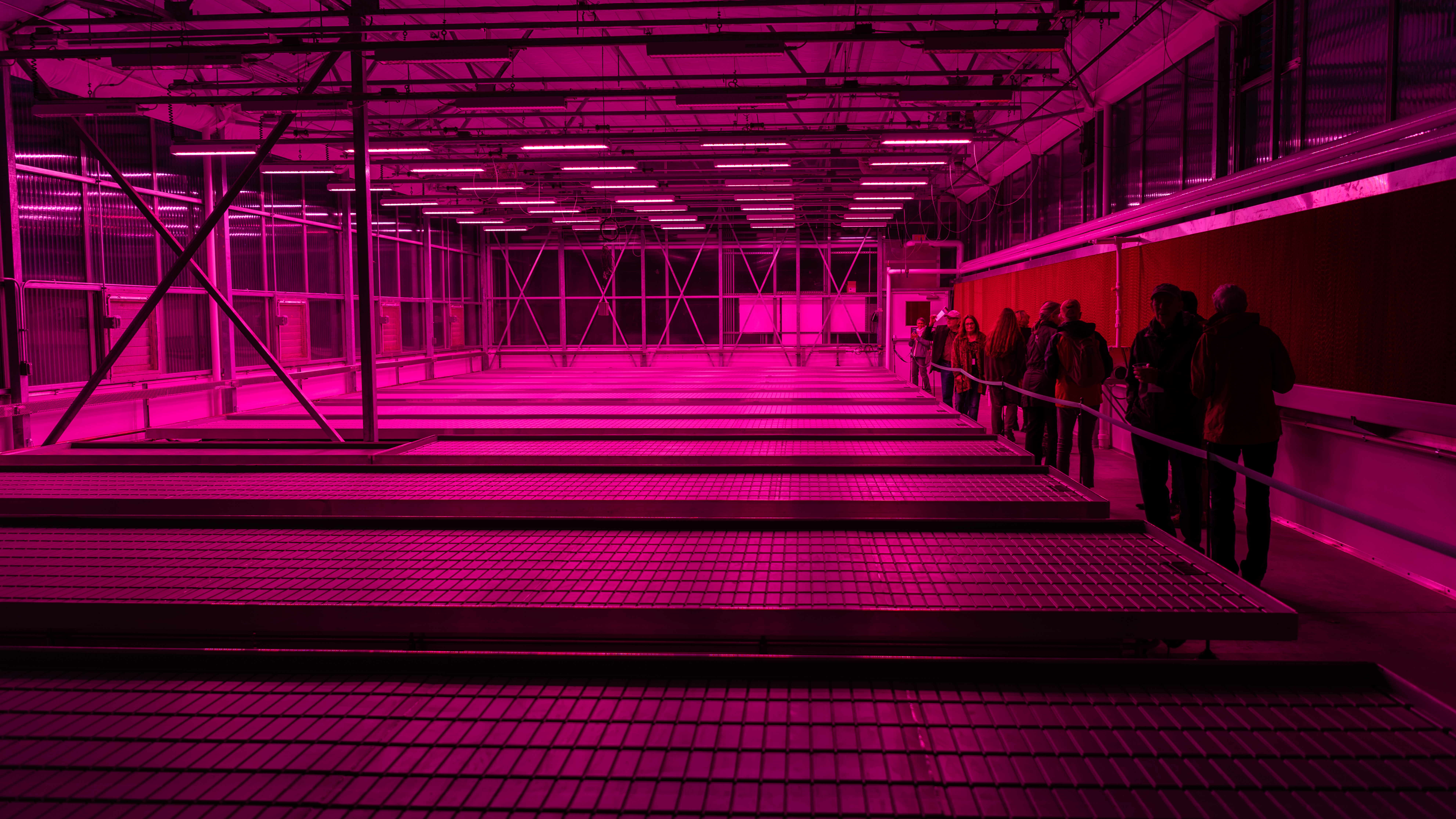 The lights in The Land Institute's new South Greenhouse