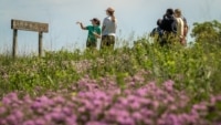 Aubrey Streit Krug, director of ecospheric studies at The Land Institute
