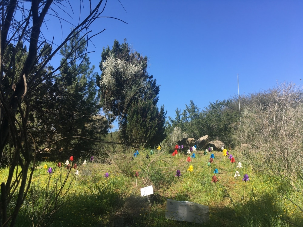 The 45th Annual Conference of the Society of Ethnobiology