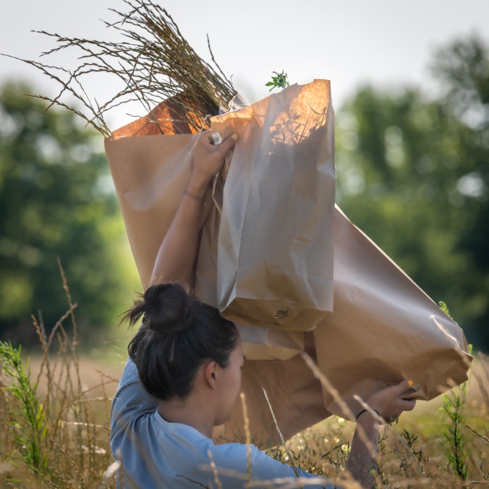 Abbi Hahn, a research resident at The Land Institute, carries bags of harvested Kernza and alfalfa from a research plot