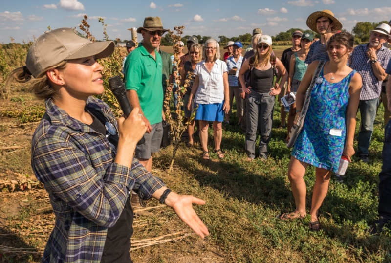 Land Institute intern Kelsey Peterson talks about perennial silphium research during a Prairie Festival field tour