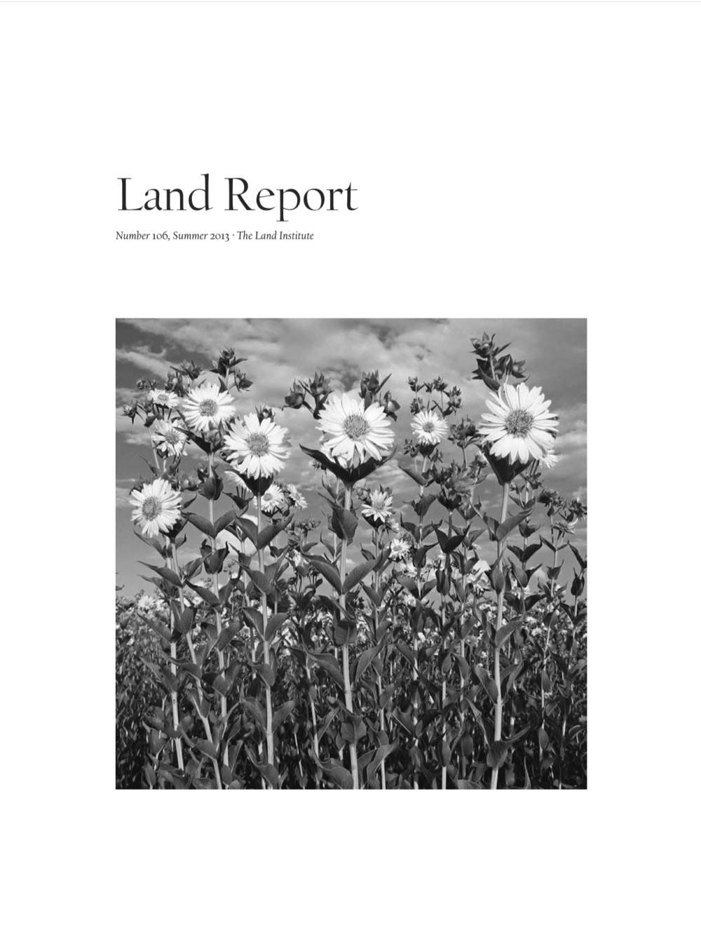 Land Report Summer 2013