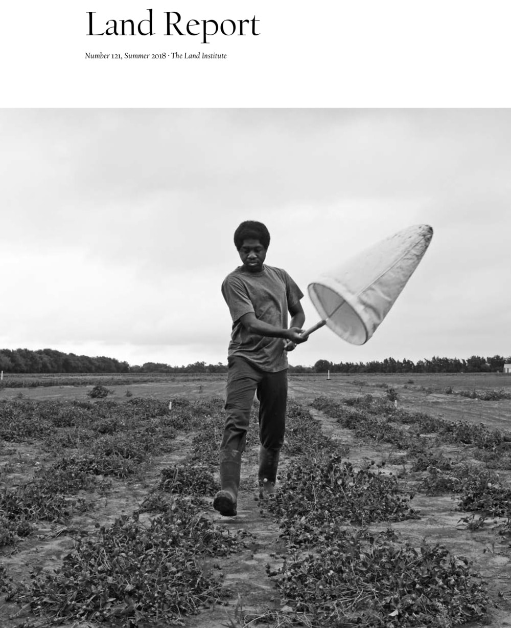 Land Report Summer 2018