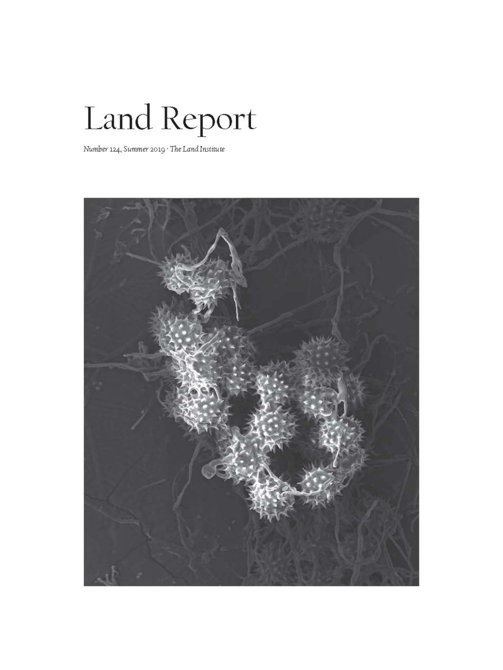 Land Report Summer 2019