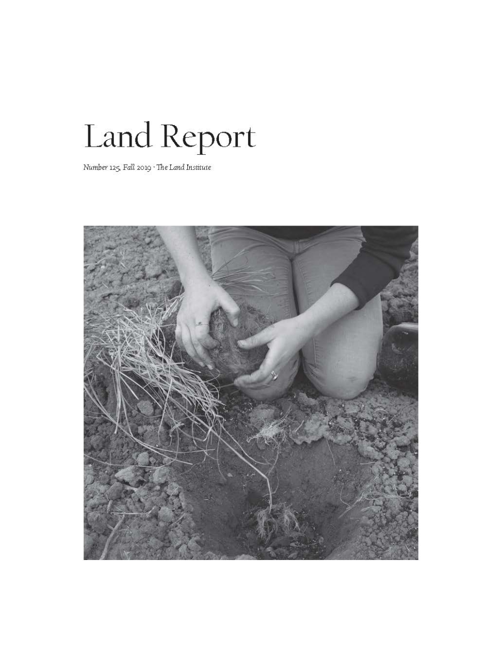 Land Report Fall 2019