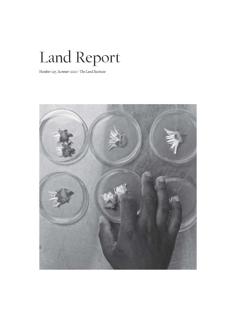 Land Report Summer 2020