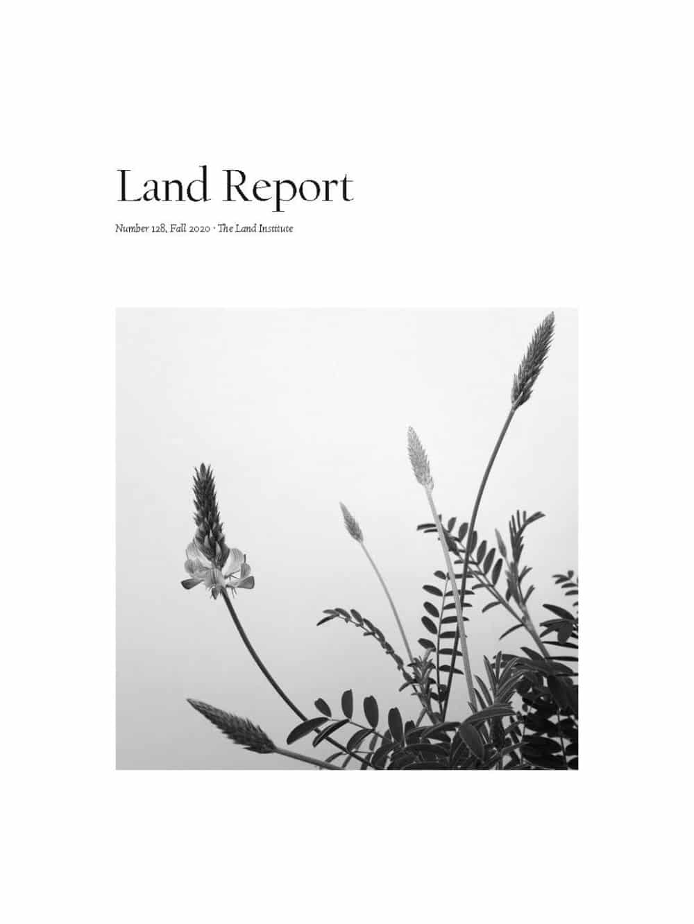 Land Report Fall 2020