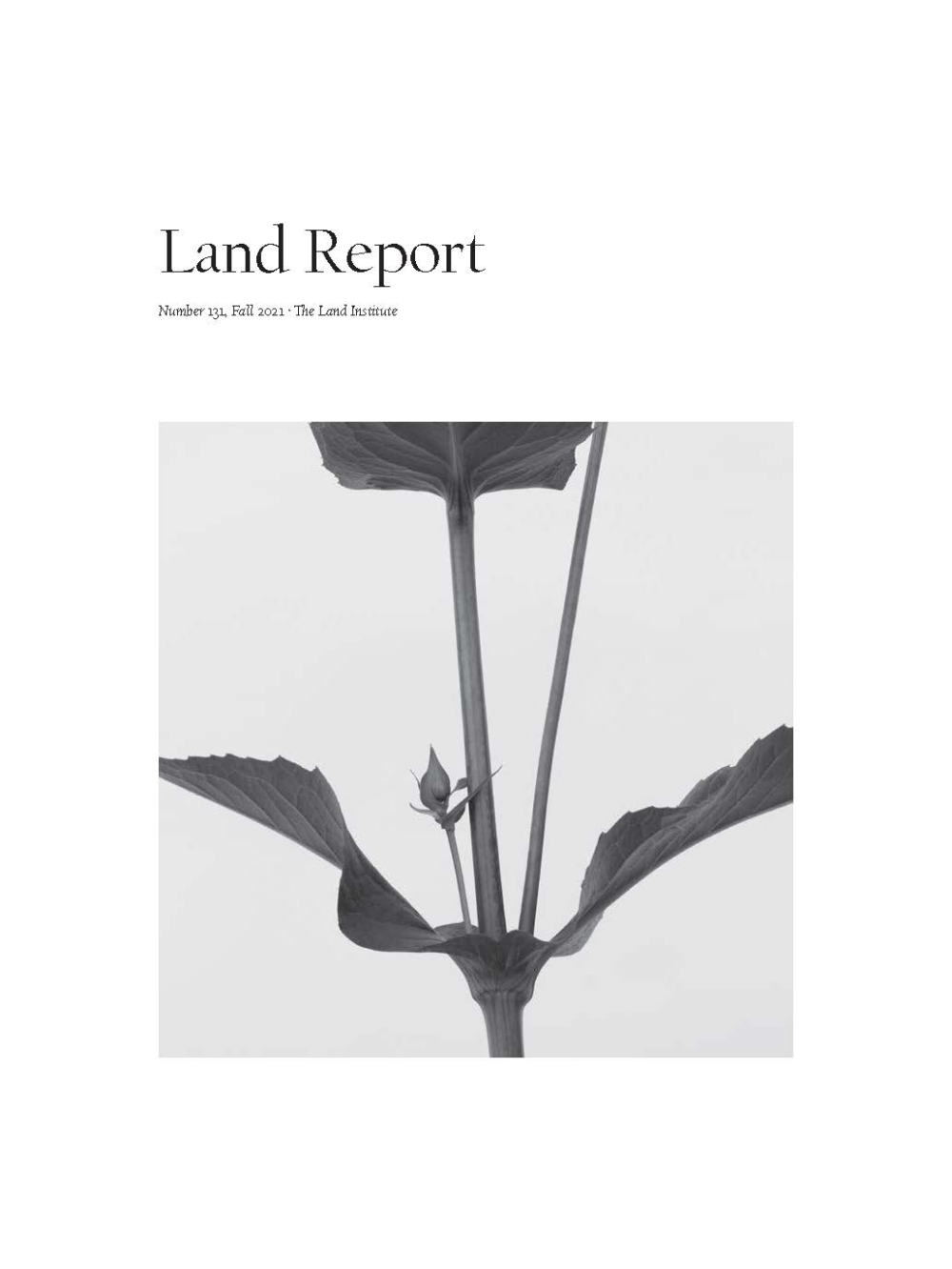 Land Report Fall 2021