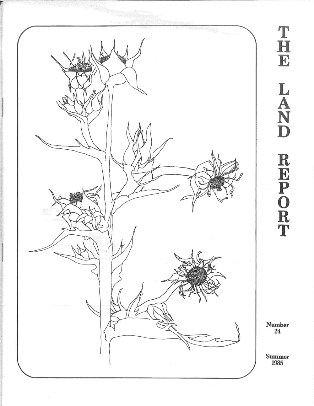 Land Report Summer 1985