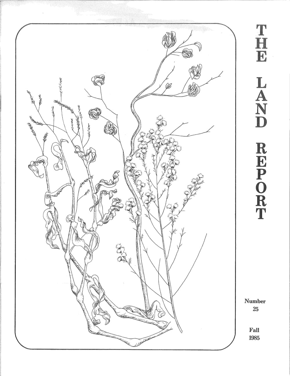 Land Report Fall 1985