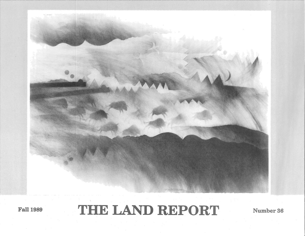 Land Report Fall 1989