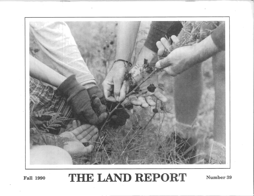 Land Report Fall 1990