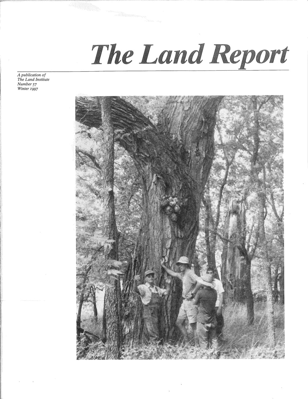 Land Report Winter 1997