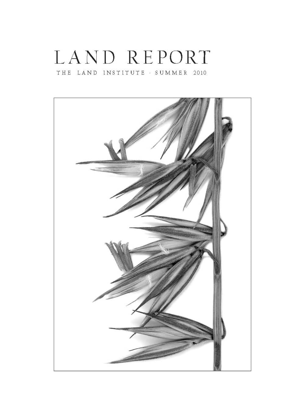 Land Report Summer 2010