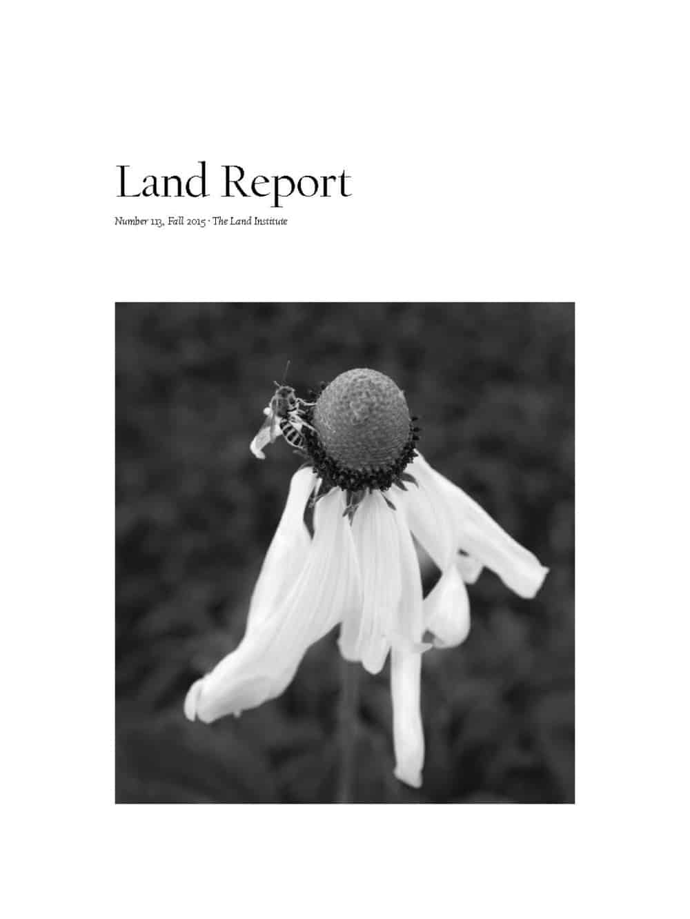 Land Report Fall 2015