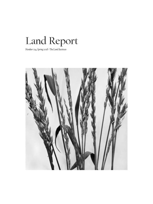 Land Report #114