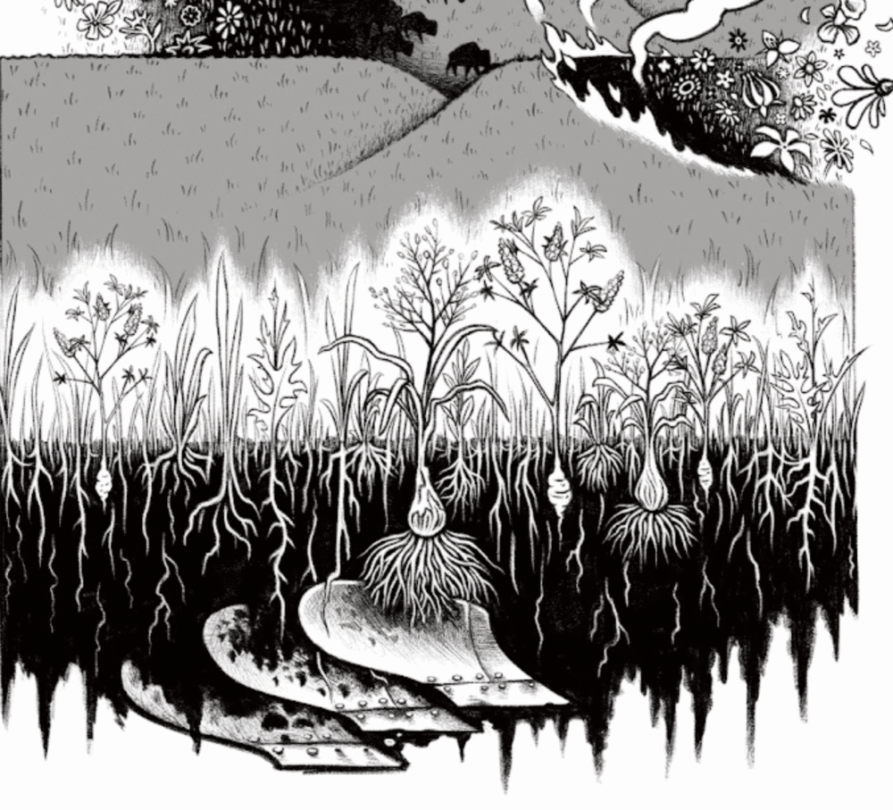 Living Roots book launch: Madison, WI