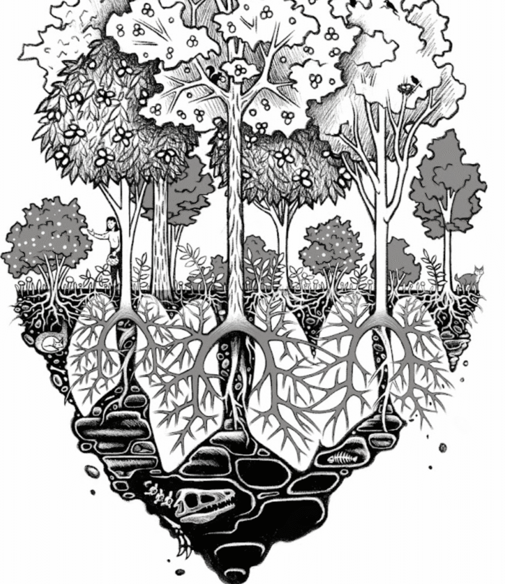 Living Roots: Dubuque, IA book launch at the 2026 Perennial Farm Gathering