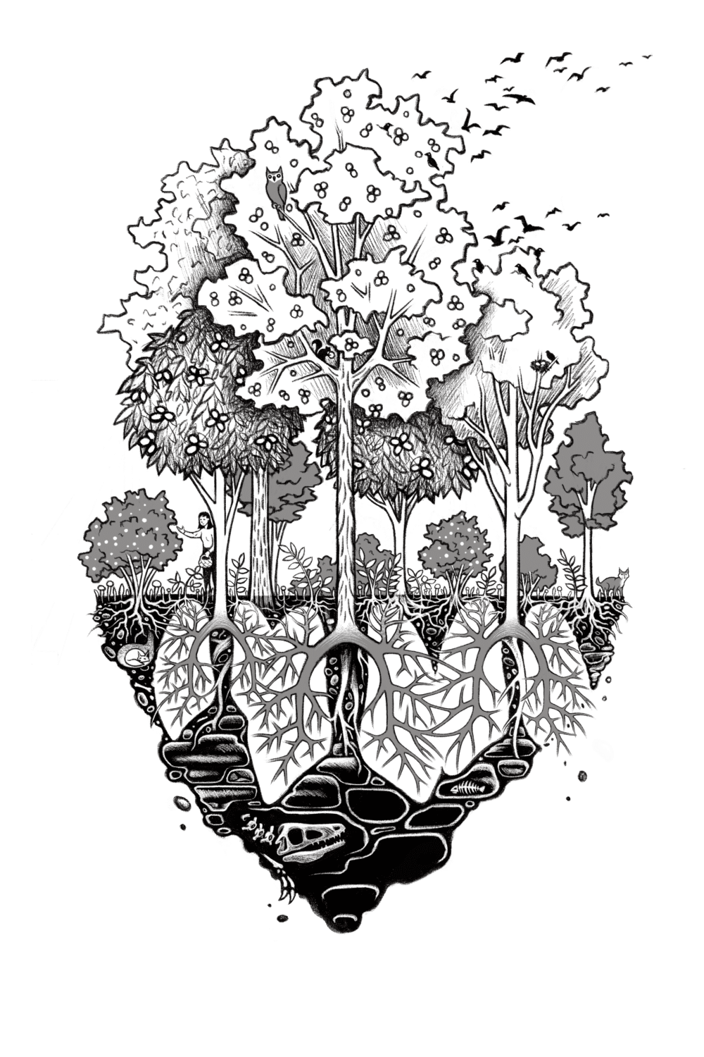 Living Roots: Santa Cruz, CA book launch with UCSC