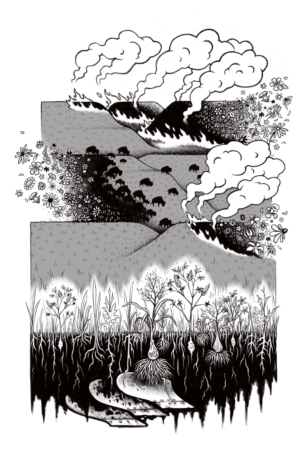 Living Roots: Bozeman, MT book launch at Country Bookshelf