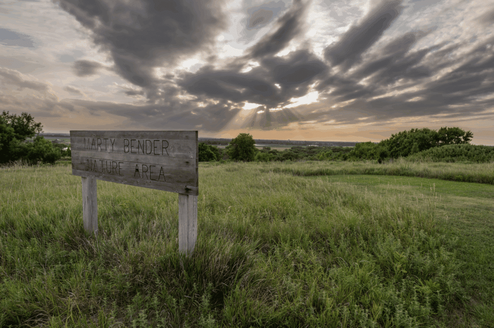 Marty Bender Nature Area Guided Hike – Salina, KS