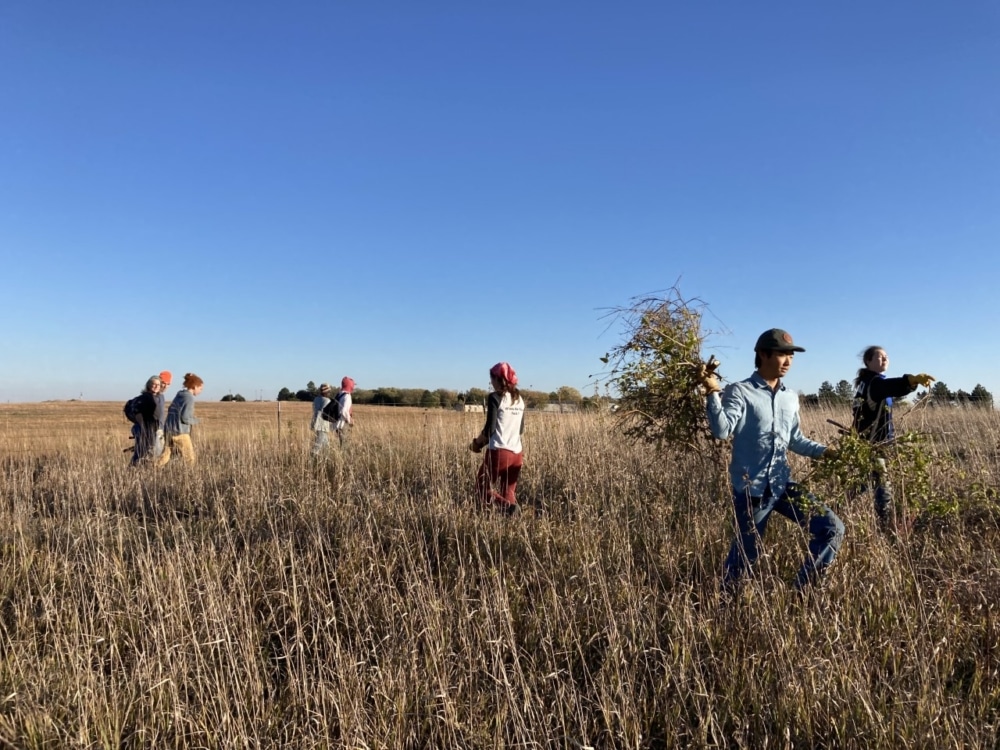 The Land Institute Unveils Community Days at Marty Bender Nature Area