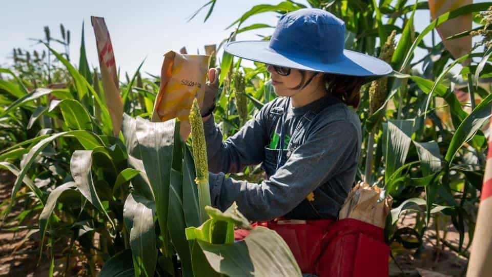 The Land Institute Awarded International Food Planet Prize