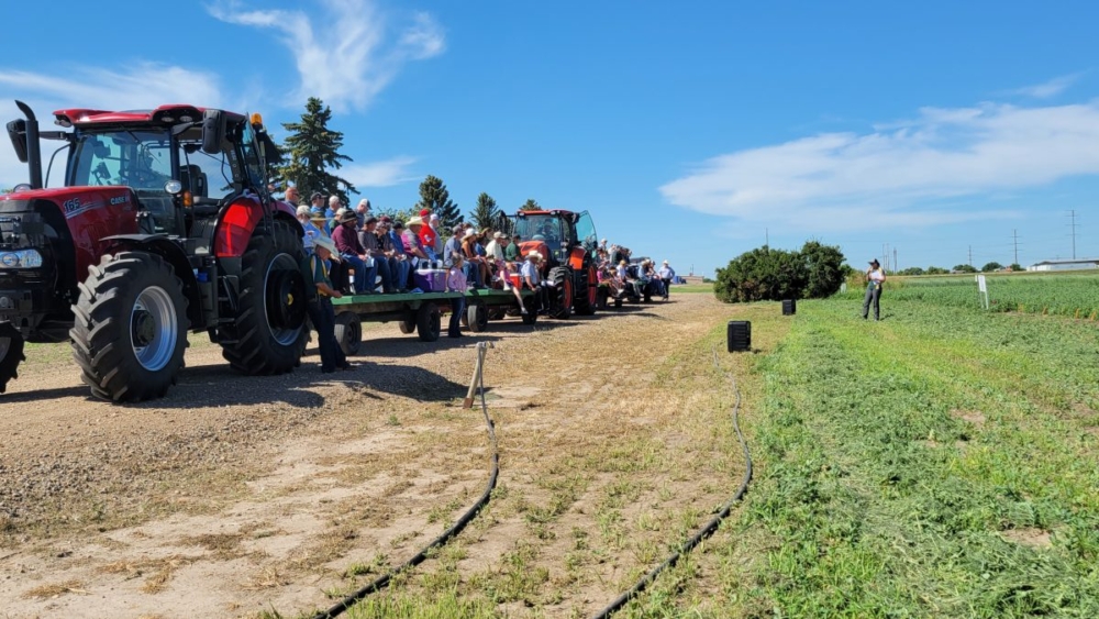 Williston Research Extension Center 2023 Field Day: Agronomy and Horticulture