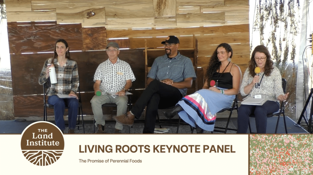 Prairie Festival 2026 – “Living Roots: The Promise of Perennial Foods” panel with the book’s co-editors and contributors
