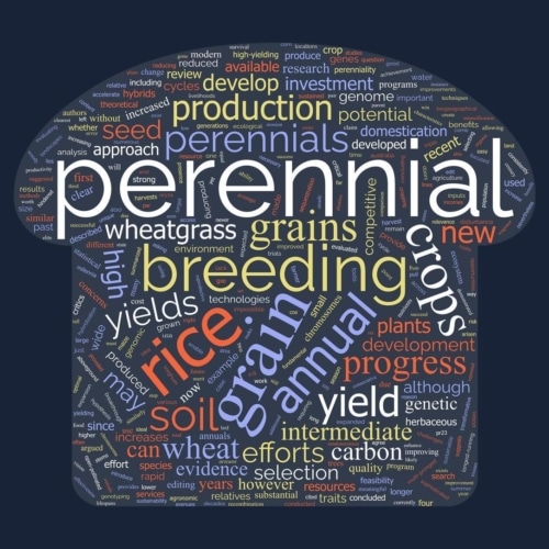 PG Crops Word Collage
